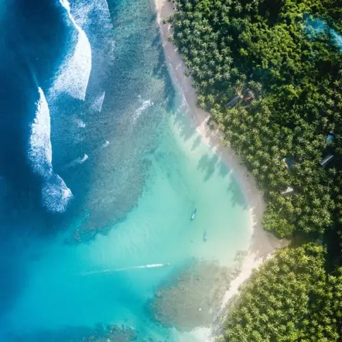 james donaldson toprrcyaiuy unsplash