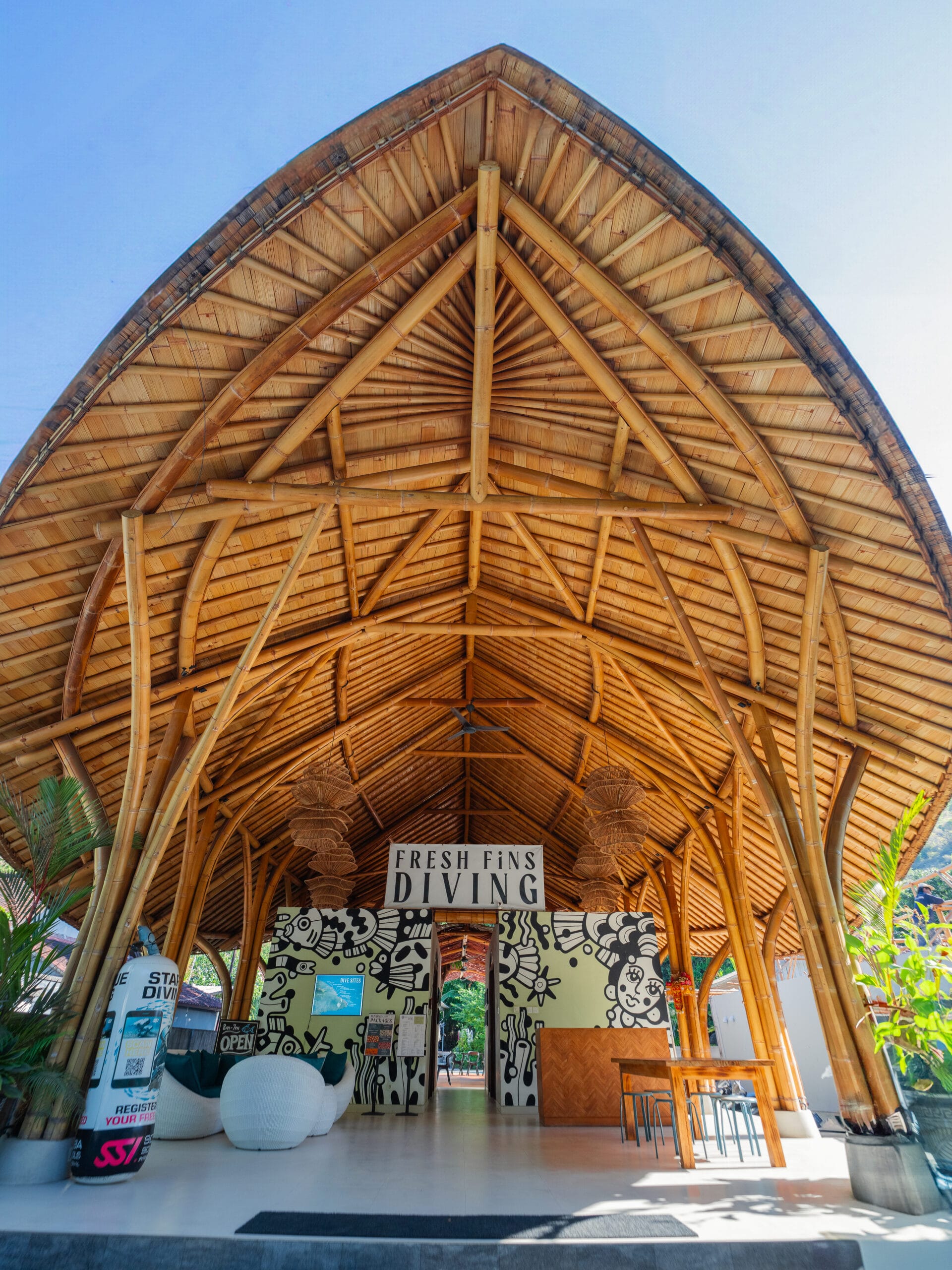 DSC04948 12.51.49 P.m Scaled