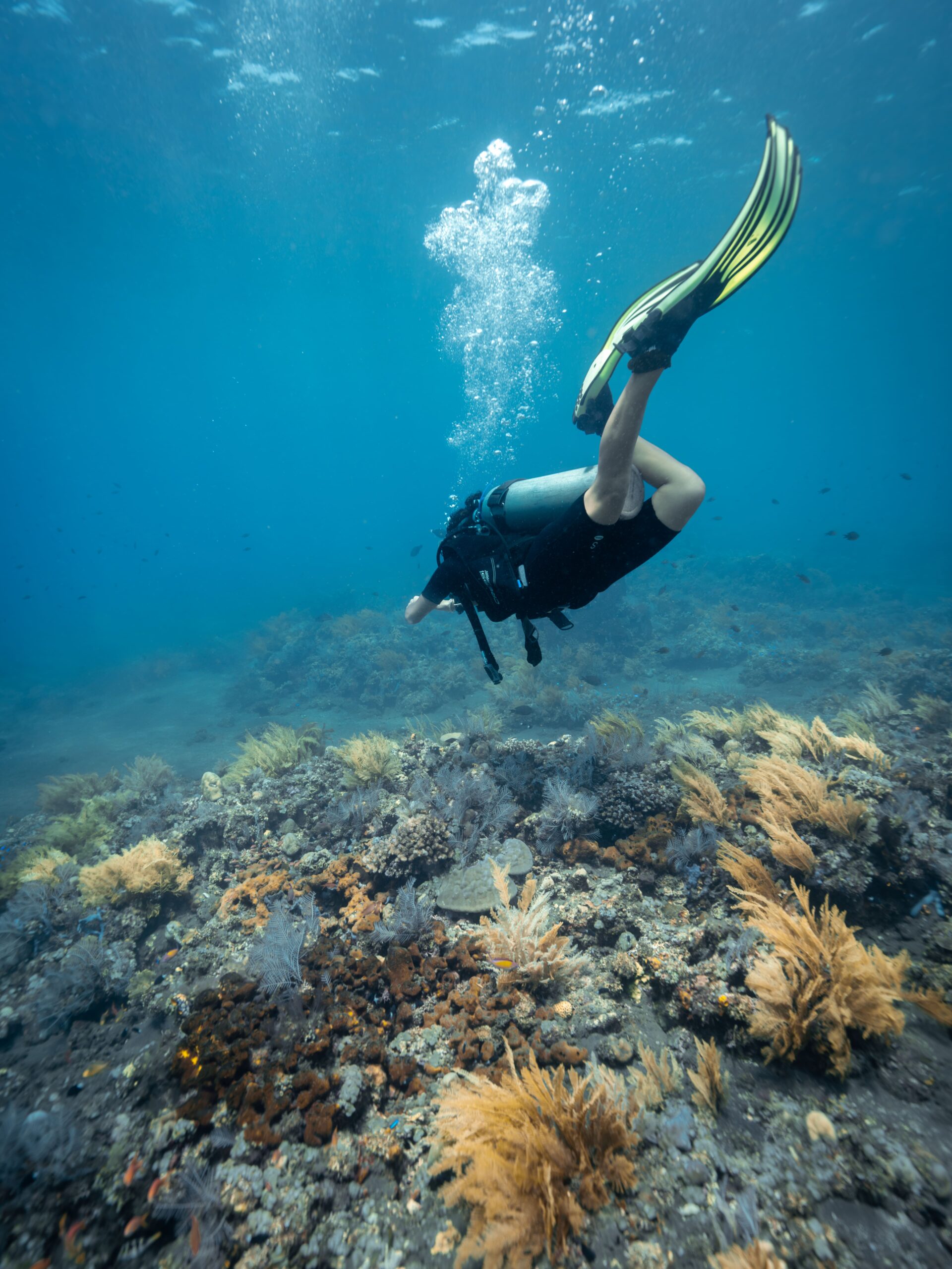 DSC04299-Enhanced-NR