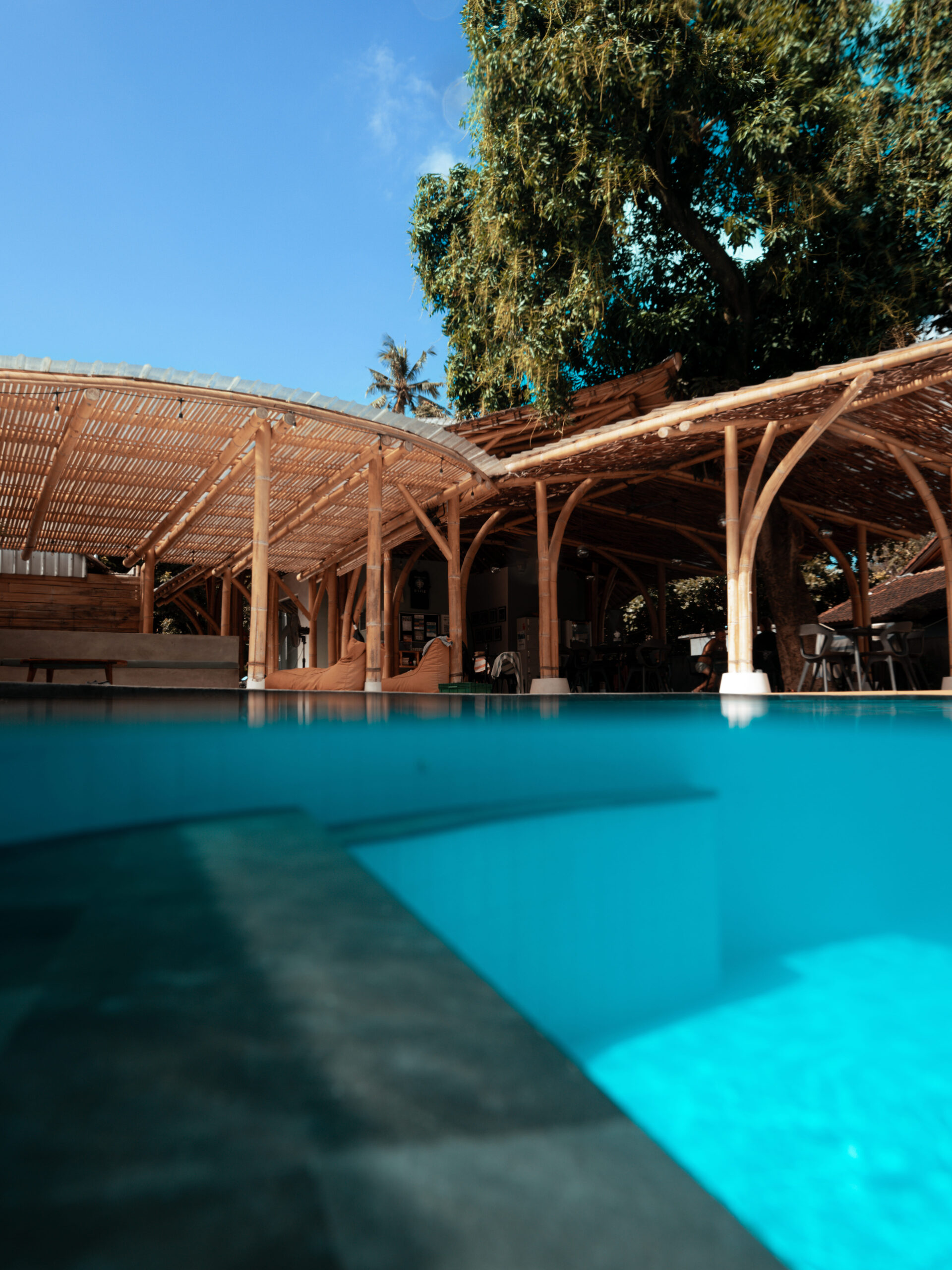 DSC04594 12.51.49 p.m.