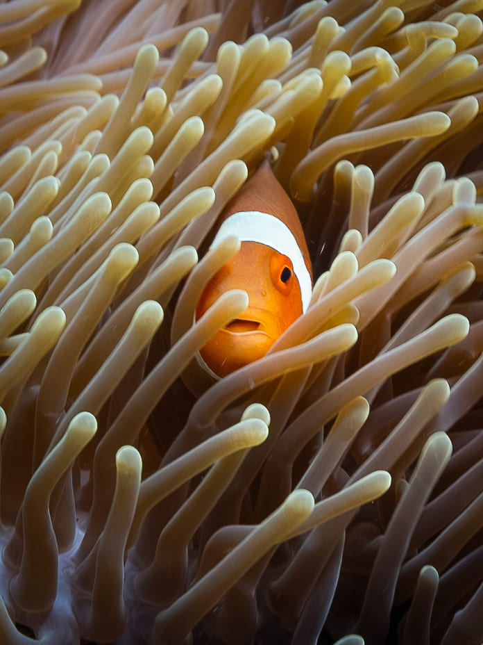 DSC04885-Enhanced-NR-2