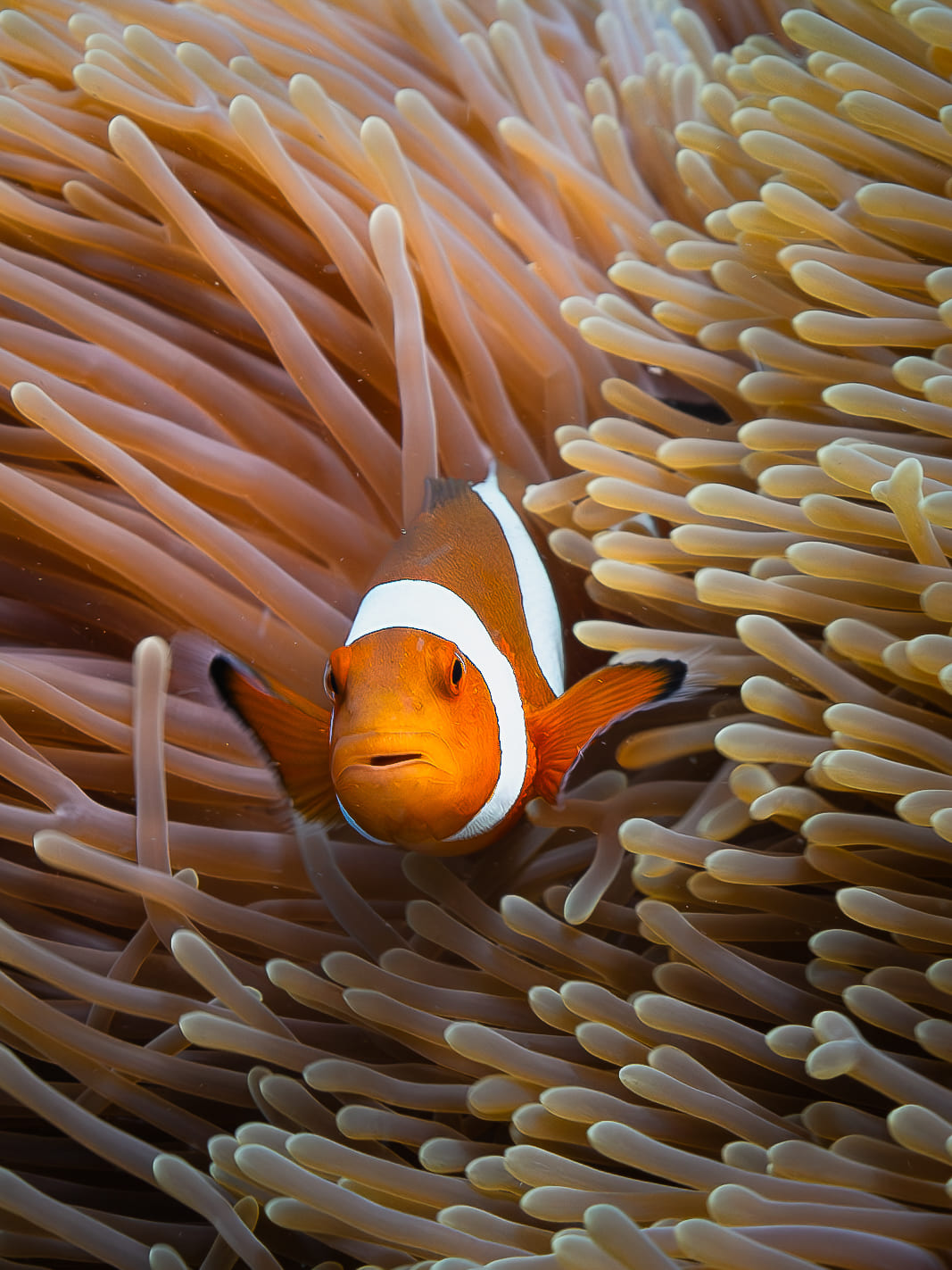 DSC04900-Enhanced-NR-2