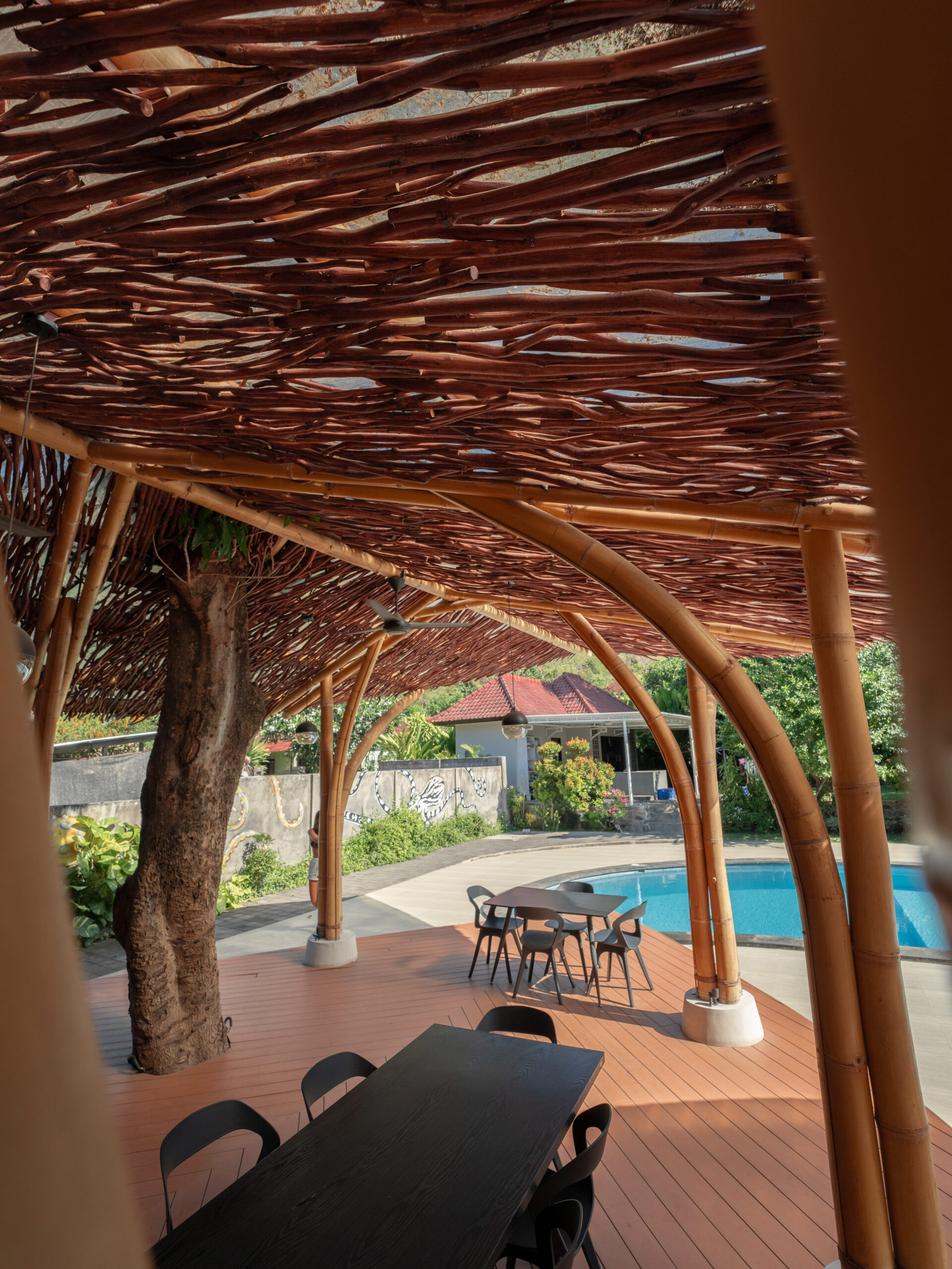 DSC04916 12.51.49 p.m.